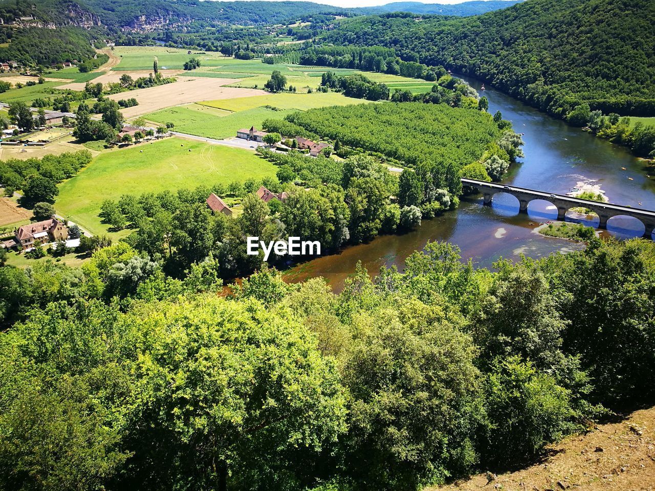 High angle view of river amidst trees