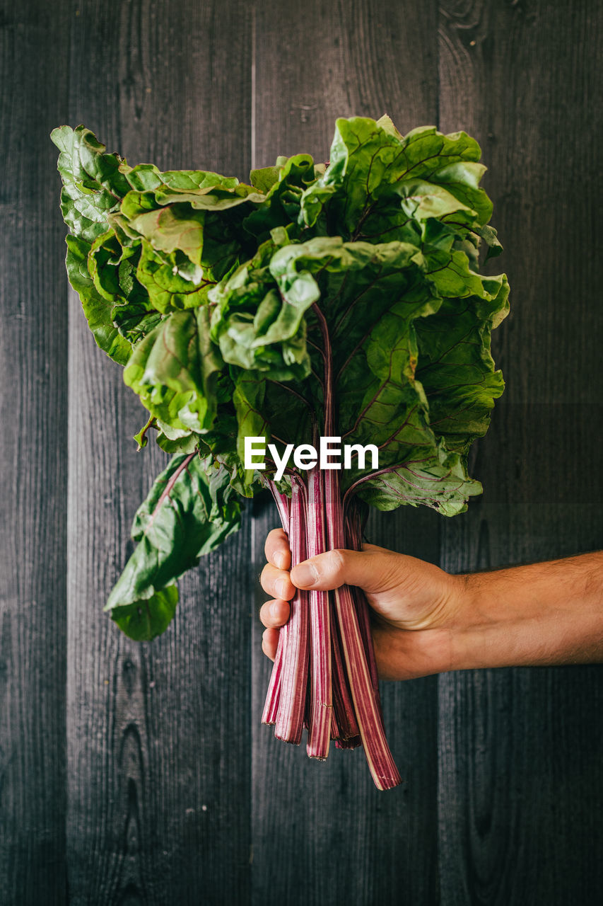 Unrecognizable person holding and showing a bunch of healthy fresh beetroot leaf against black lumber wall person