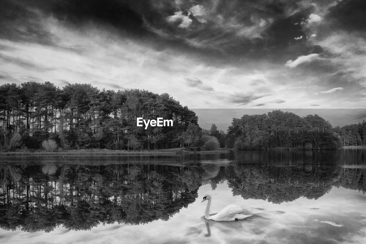 REFLECTION OF TREES ON LAKE AGAINST SKY