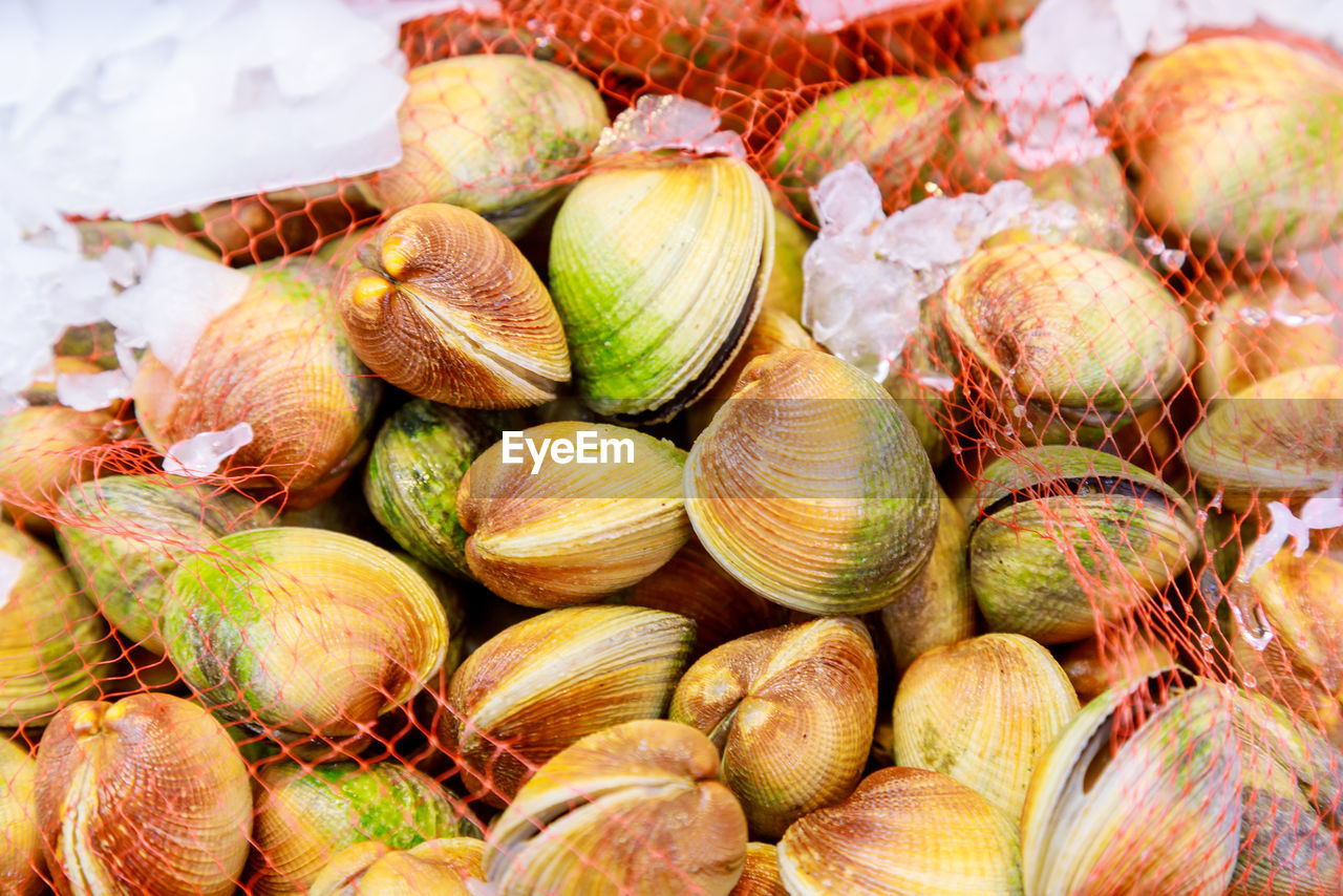 Close-up of mussels on ice at fish market