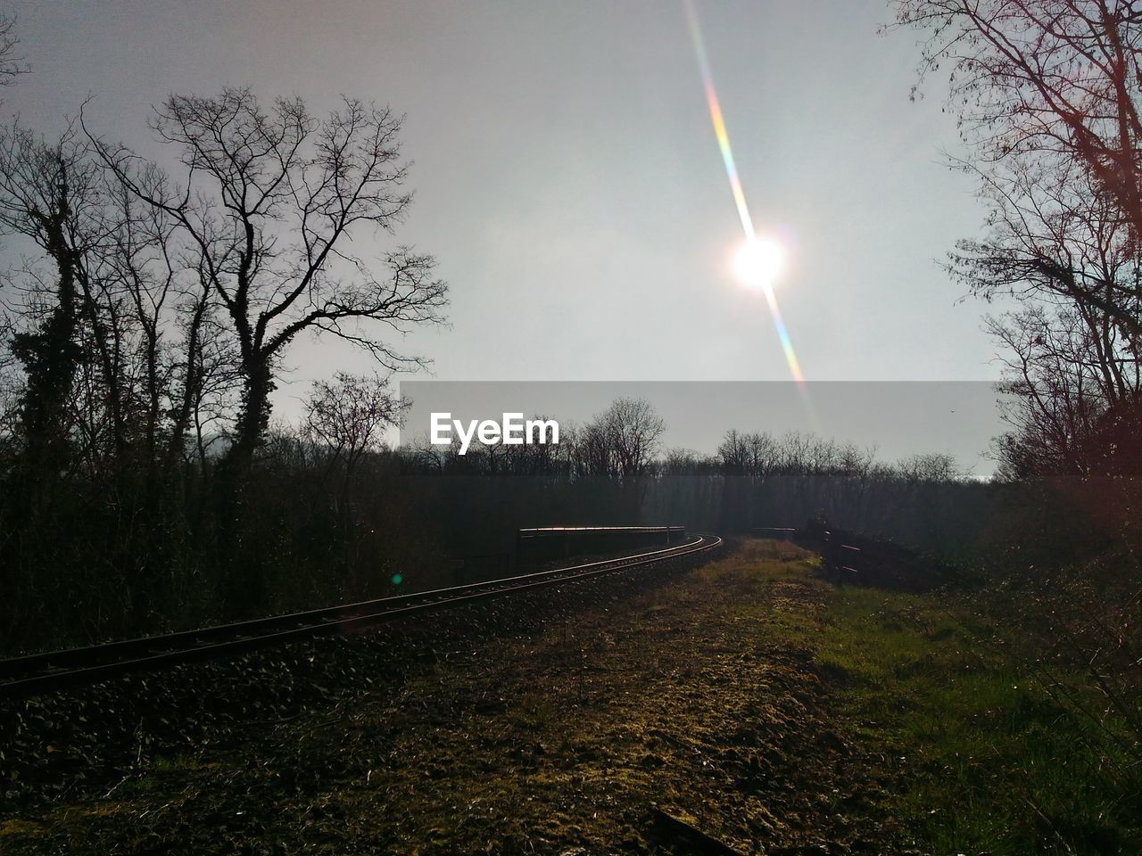 RAILROAD TRACKS AMIDST BARE TREES AGAINST CLEAR SKY