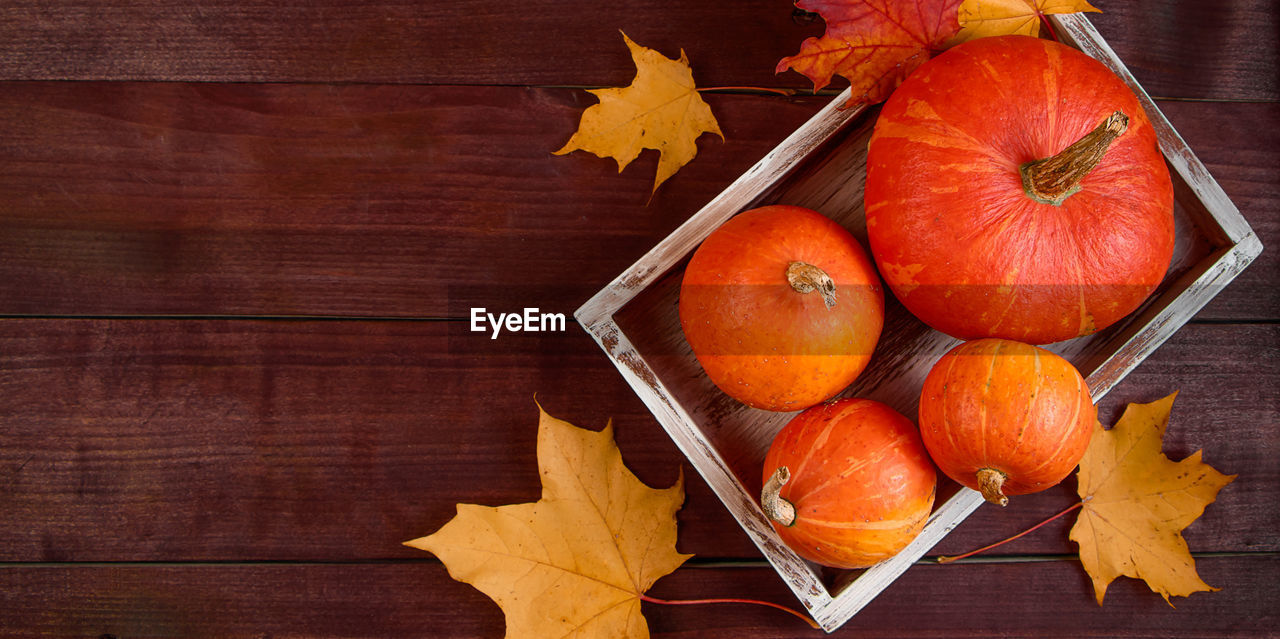 directly above shot of orange fruits on table