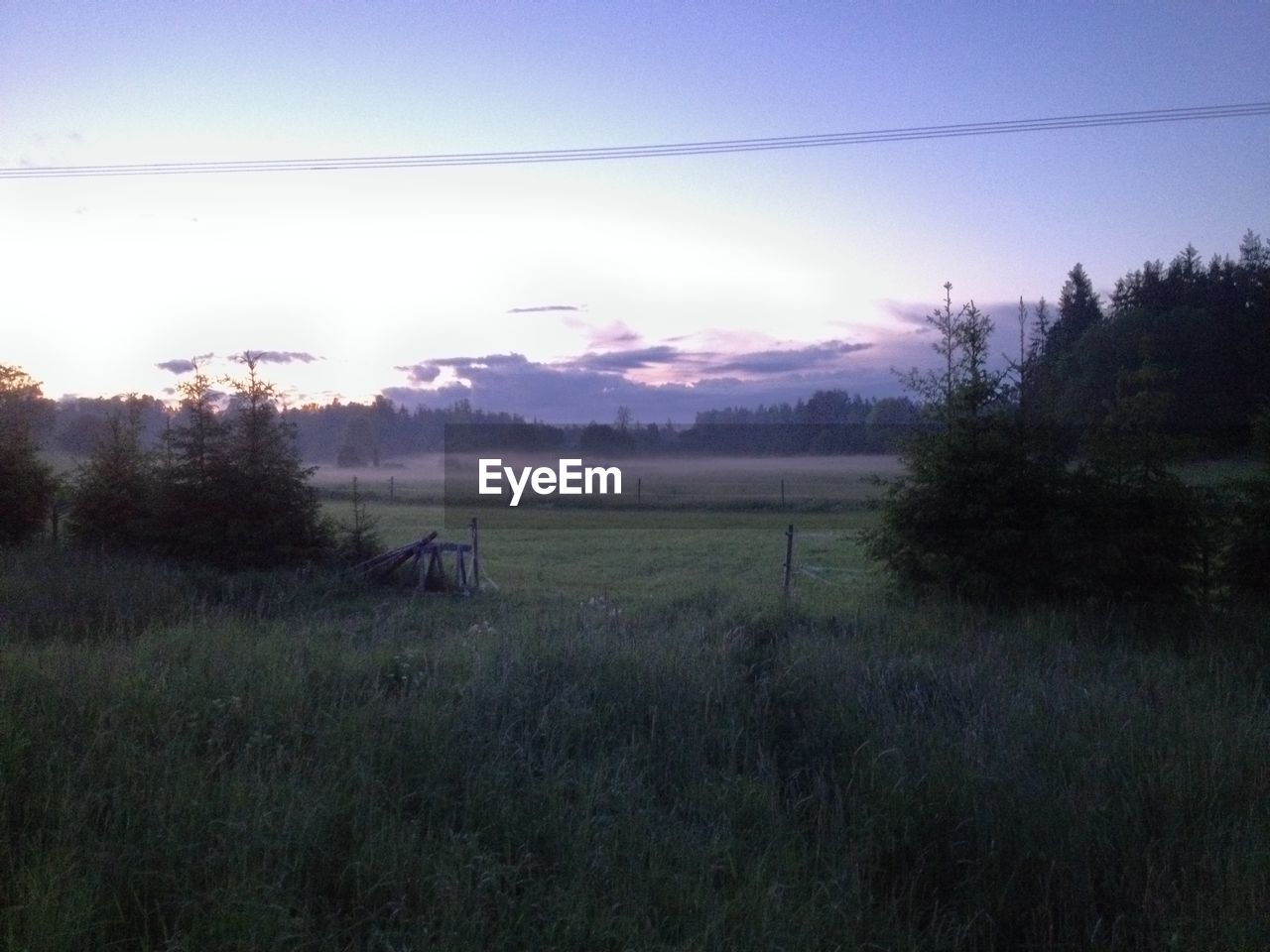 SCENIC VIEW OF GRASSY FIELD AGAINST SKY DURING SUNSET