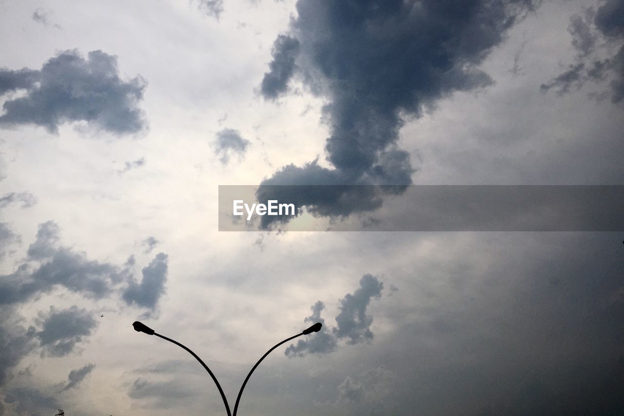 LOW ANGLE VIEW OF TREE AGAINST CLOUDY SKY