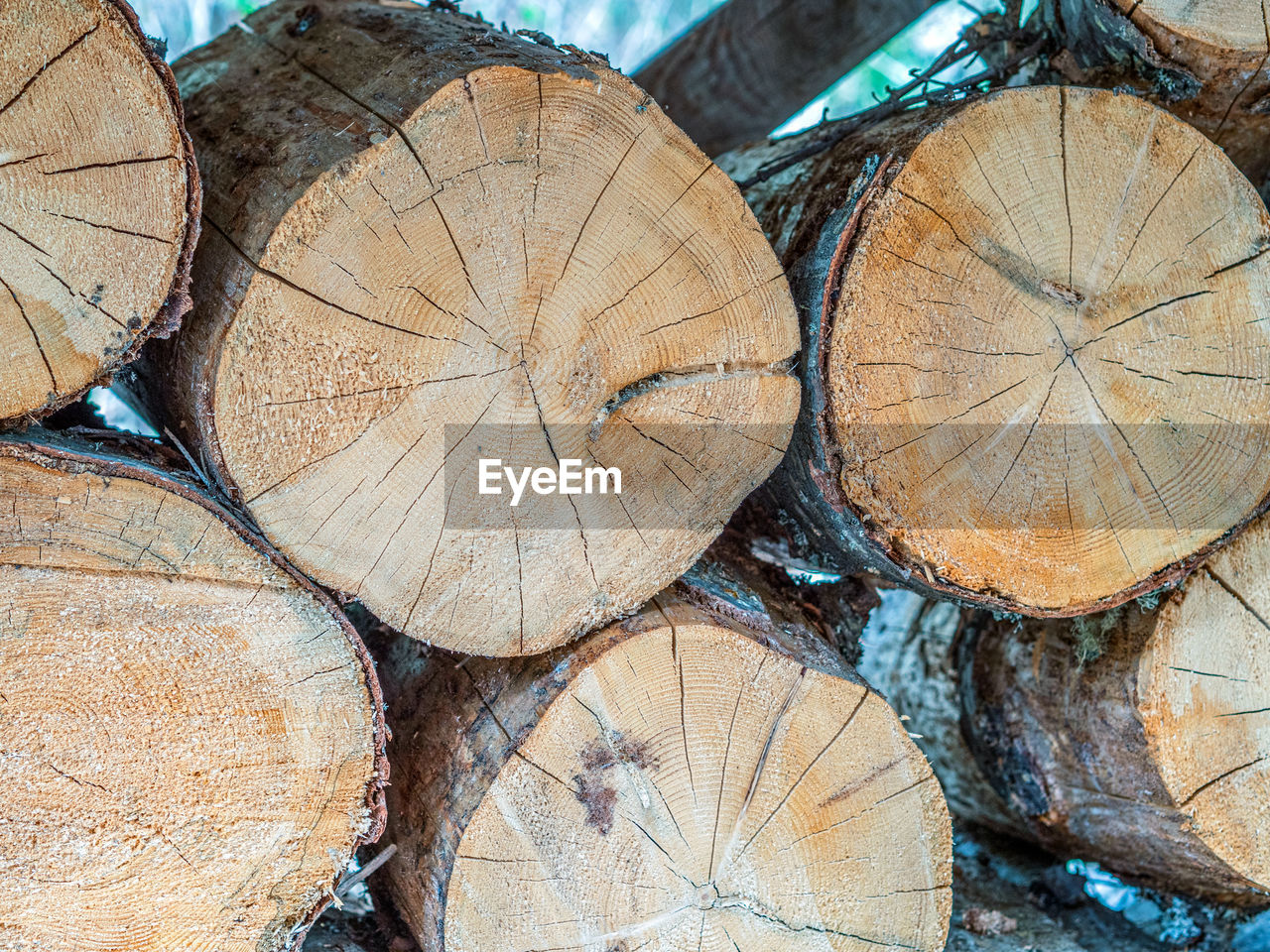 timber, deforestation, log, tree, lumber industry, firewood, wood, full frame, backgrounds, power generation, forest, environmental issues, trunk, no people, leaf, pattern, large group of objects, cross section, shape, fossil fuel, geometric shape, environmental damage, circle, textured, close-up, nature, abundance, brown, tree ring, outdoors, day, woodpile, logging