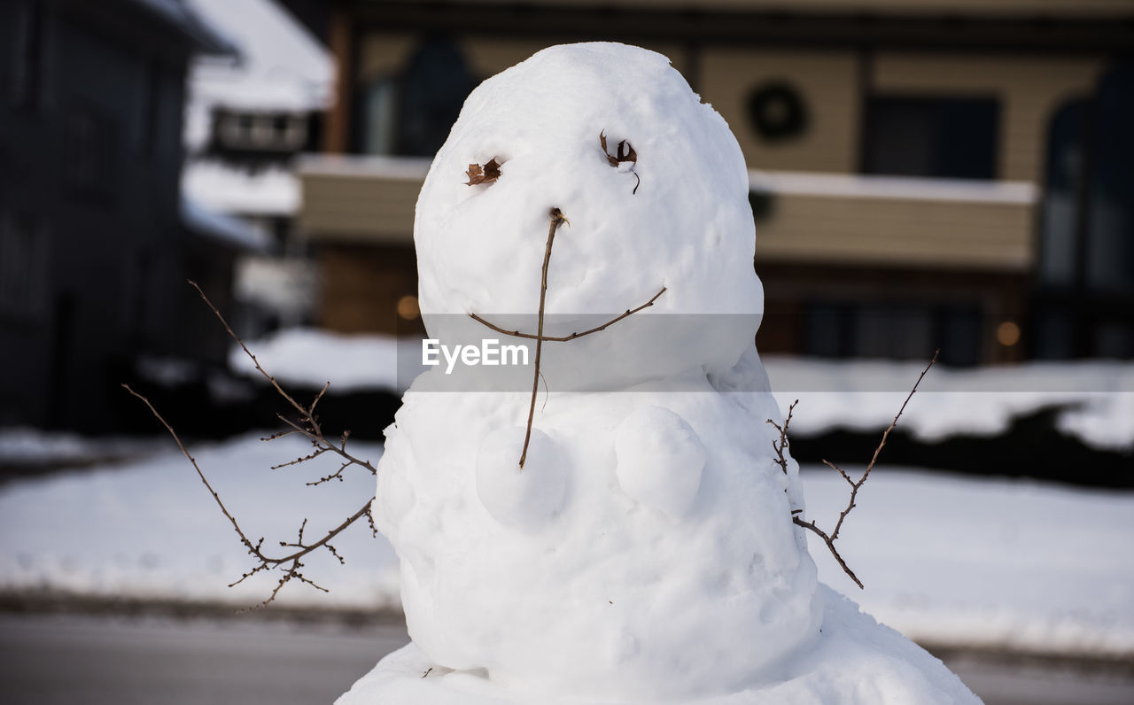 Close-up of snowman
