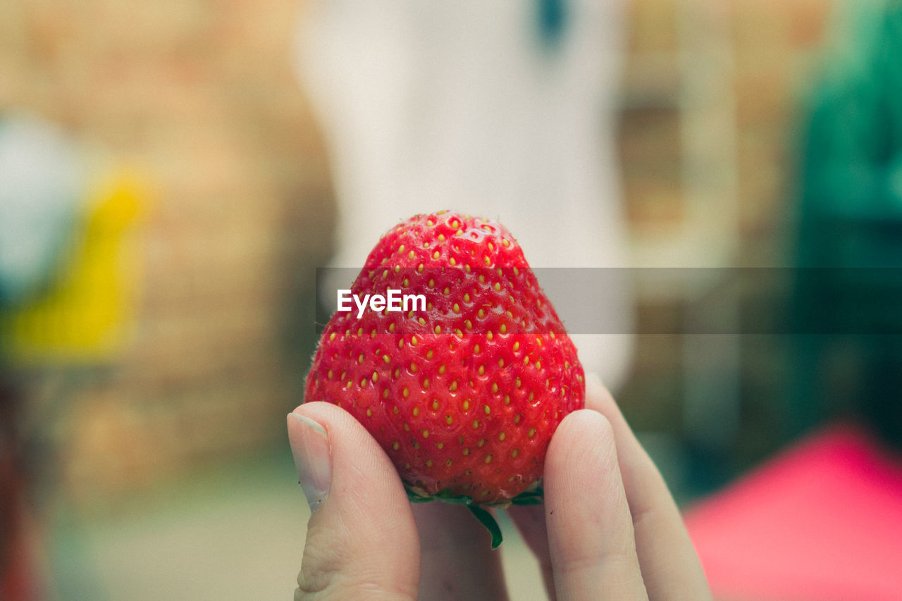 CLOSE-UP OF HANDS HOLDING STRAWBERRY