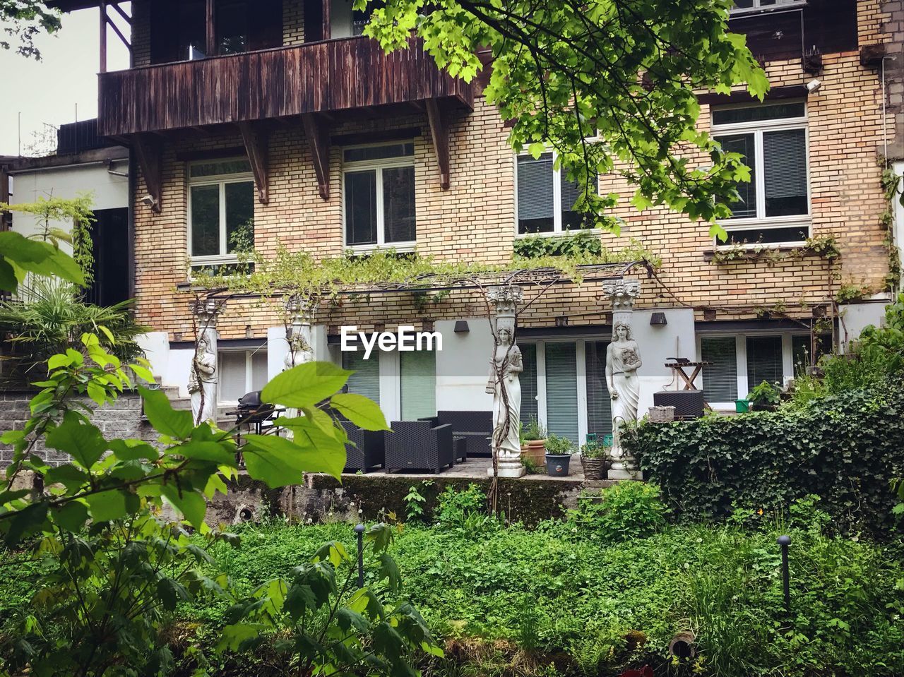 PLANTS GROWING OUTSIDE BUILDING