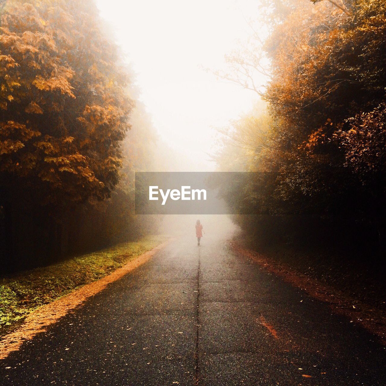 Full length of girl walking on road amidst autumn trees during foggy weather