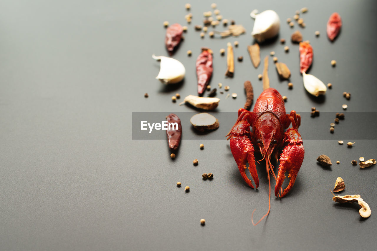 HIGH ANGLE VIEW OF CHOCOLATE CAKE ON TABLE AGAINST WHITE BACKGROUND