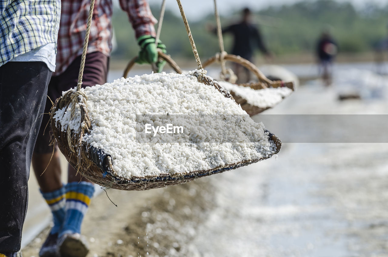 Salters are carrying salts in the salt garden in ban laem, phetchaburi, thailand.