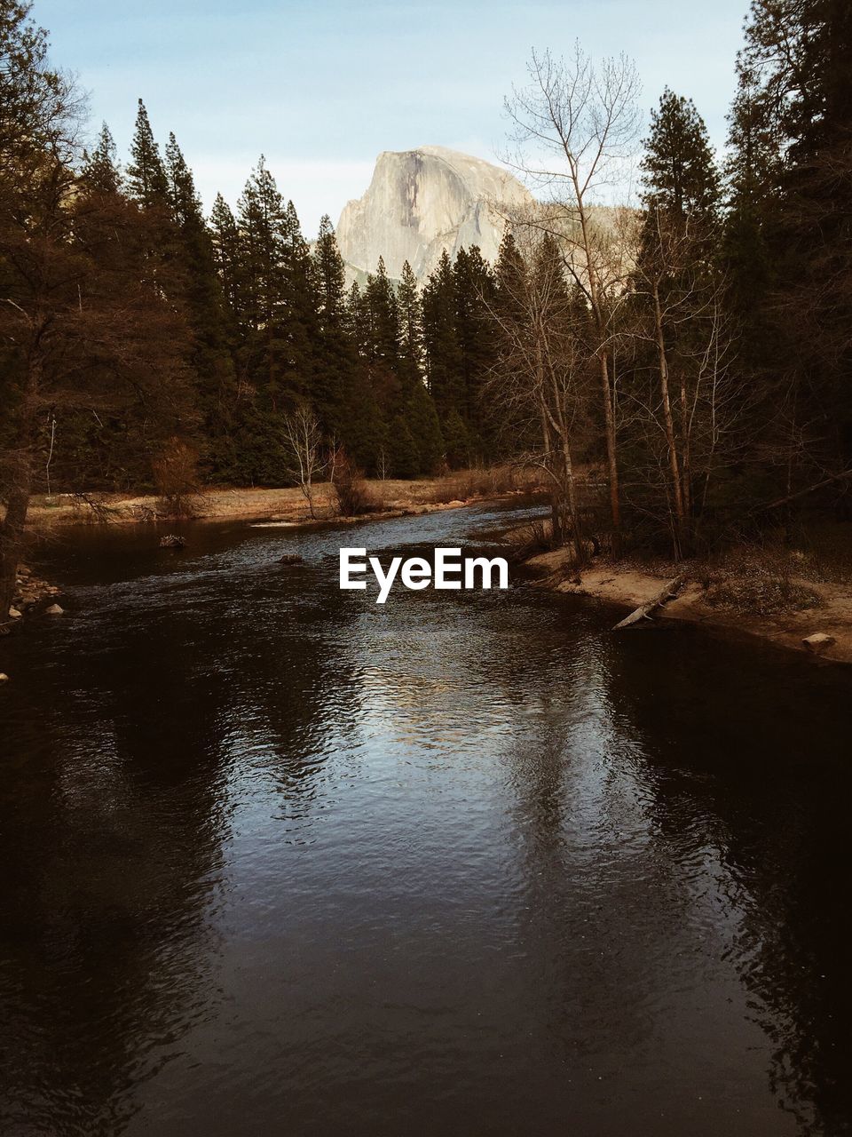 Scenic view of calm river against trees and mountain