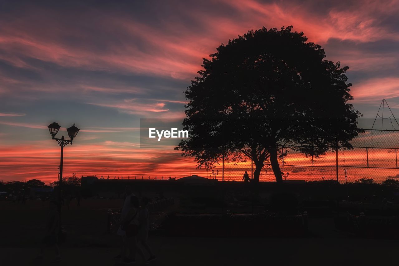 SILHOUETTE TREE AGAINST ORANGE SKY