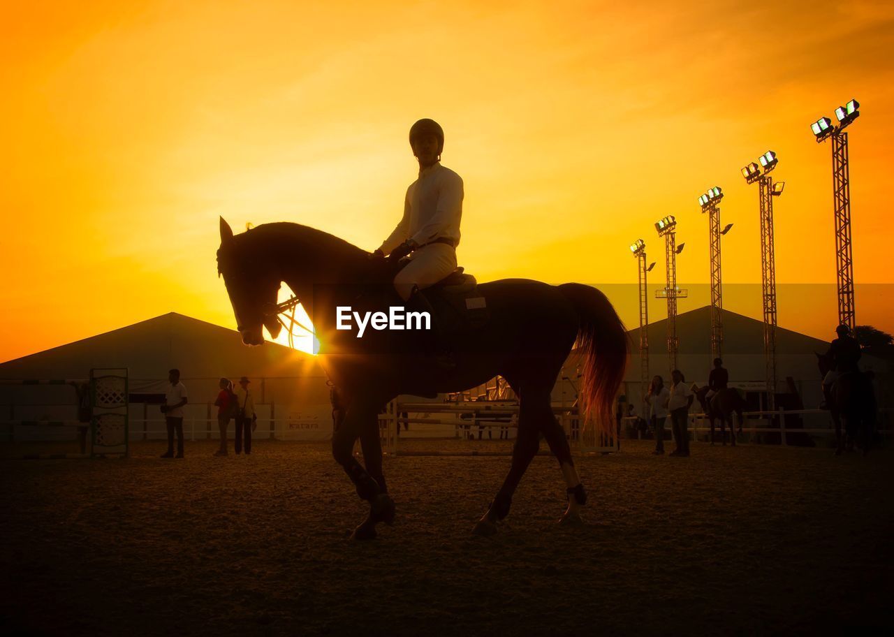 Jockey on horse against sky during sunset