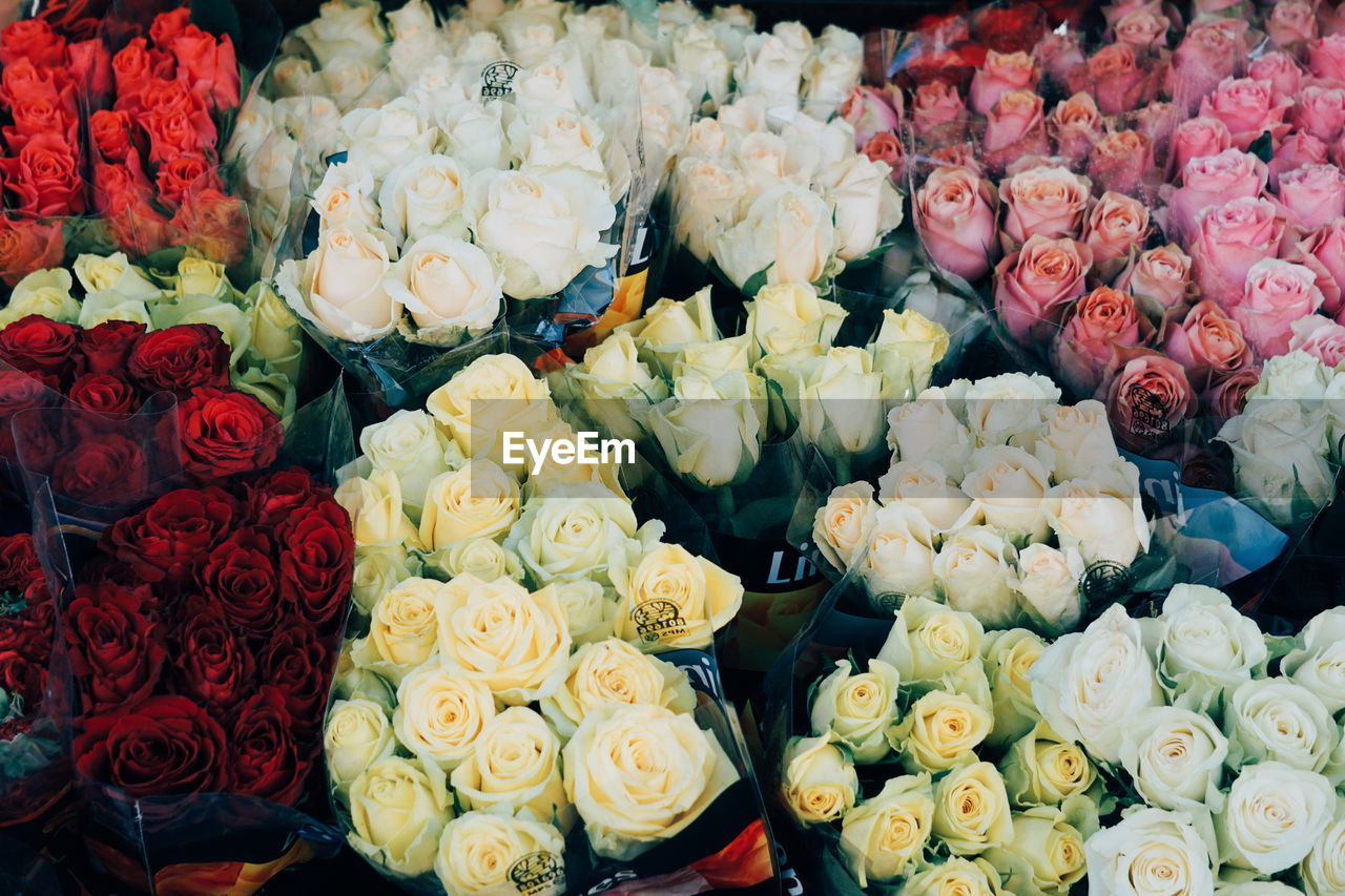 FULL FRAME SHOT OF ROSE BOUQUET IN MARKET