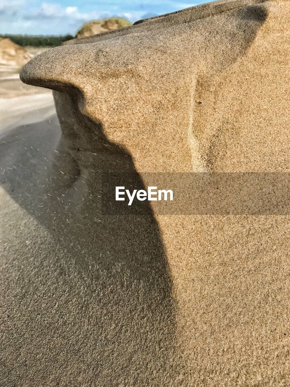 CLOSE-UP OF CAT ON SAND AT BEACH