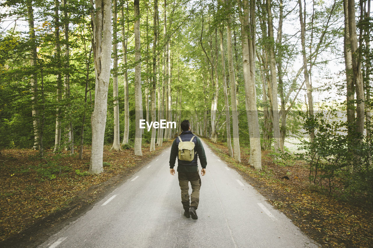 Rear view of hiker walking on road amidst trees