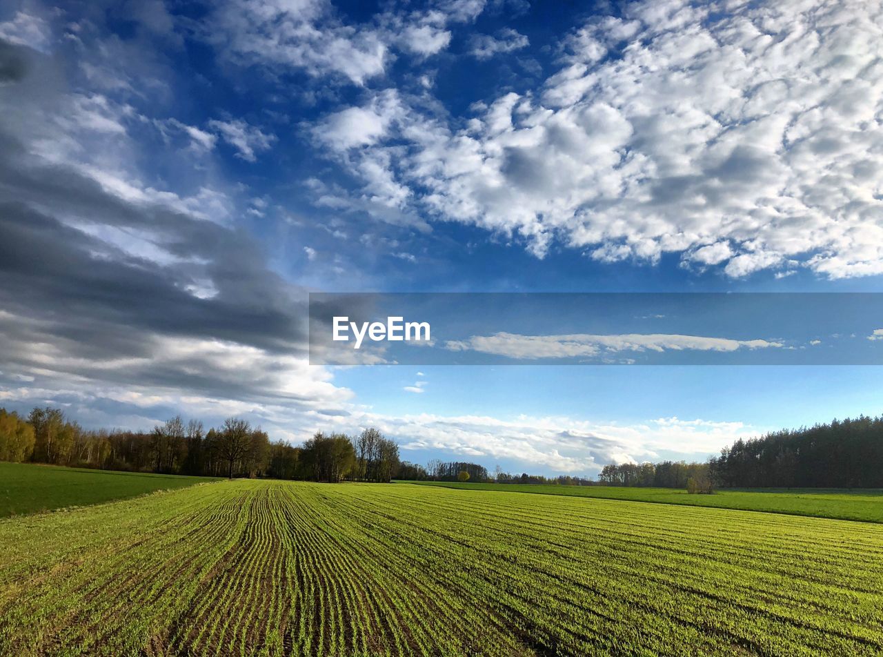 SCENIC VIEW OF FARM FIELD AGAINST SKY