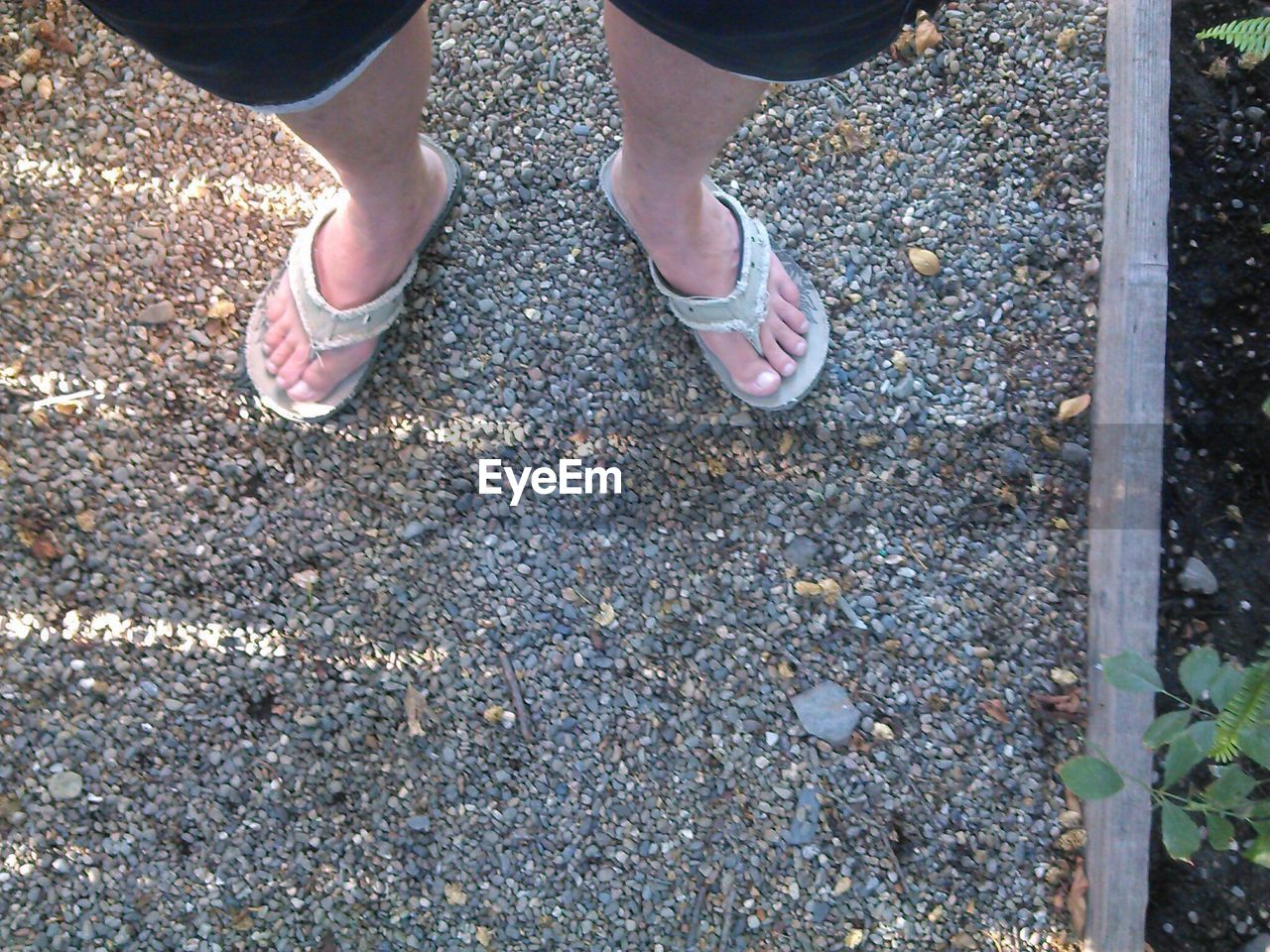 LOW SECTION OF WOMAN STANDING ON GROUND