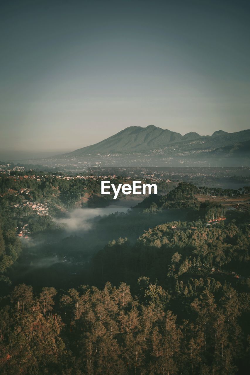 High angle view of trees on landscape against sky