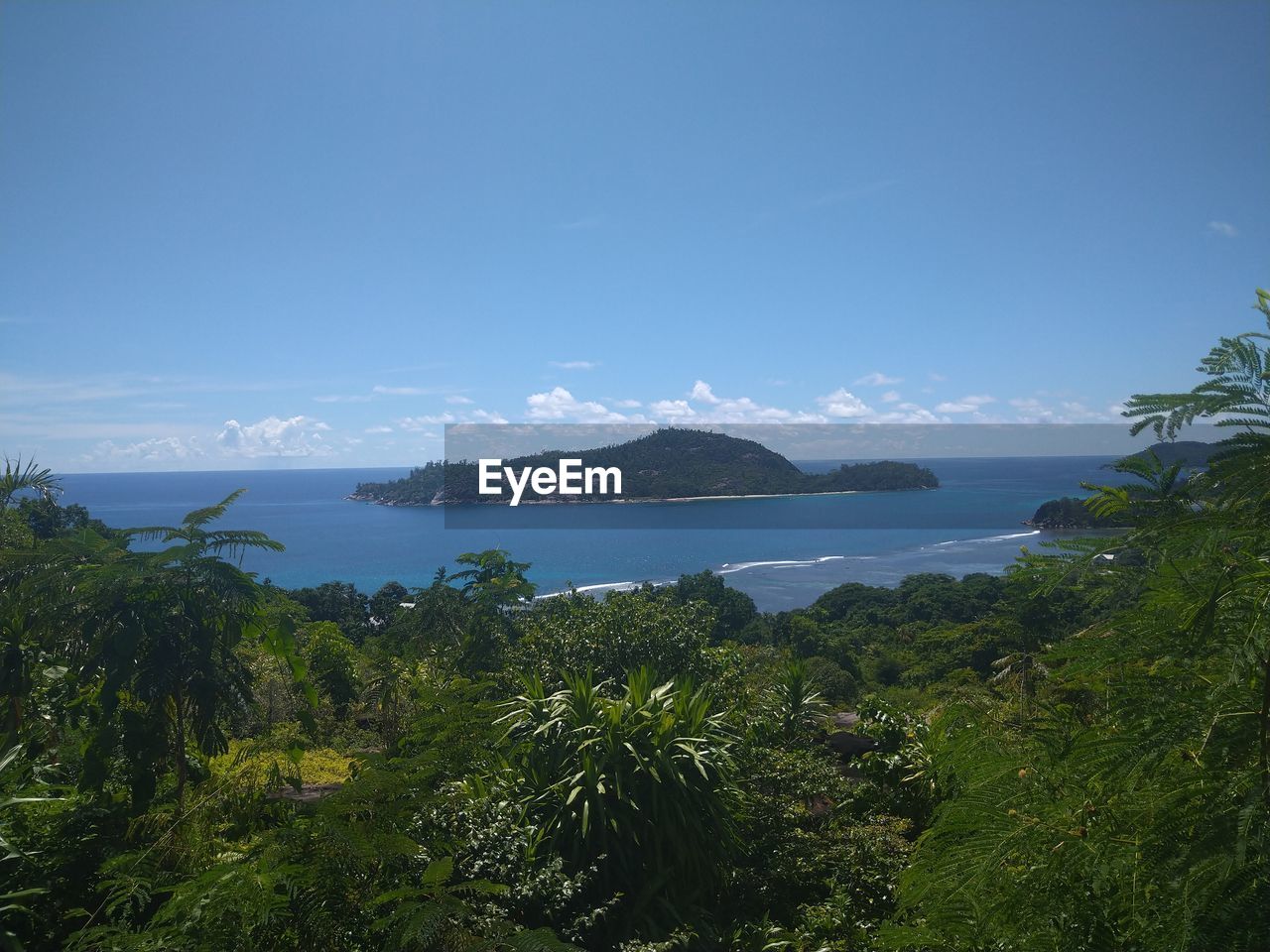 SCENIC VIEW OF SEA AND TREES AGAINST BLUE SKY