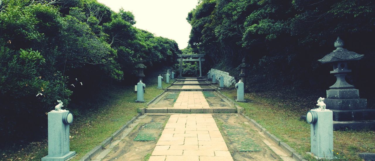 Footpath amidst trees at shrine