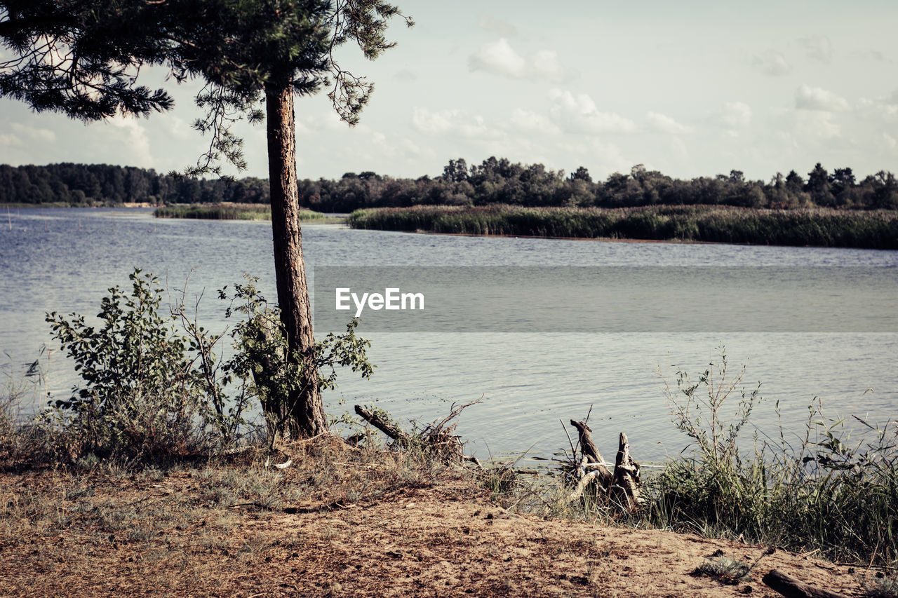 SCENIC VIEW OF LAKE