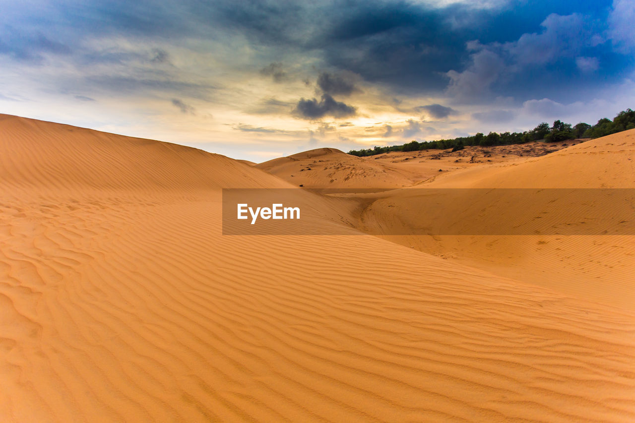 Scenic view of desert against sky