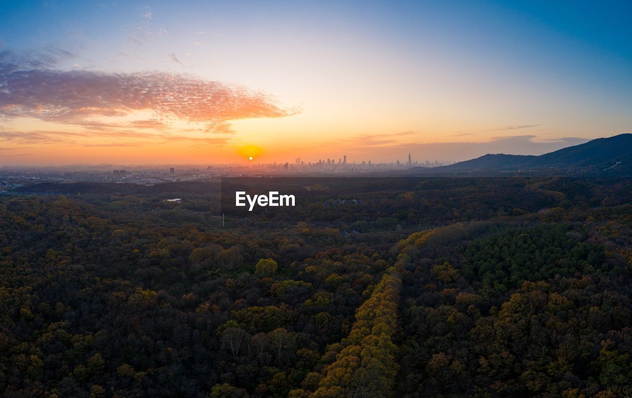 SCENIC VIEW OF LANDSCAPE AGAINST ORANGE SKY