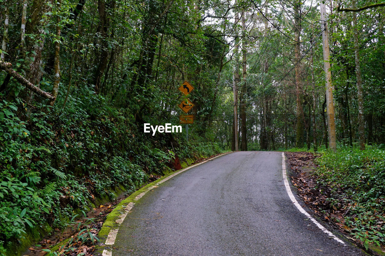 Road amidst trees in forest