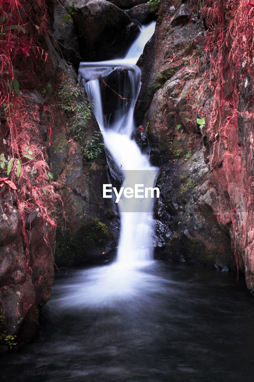 VIEW OF WATERFALL IN FOREST