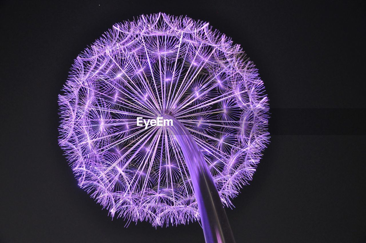 LOW ANGLE VIEW OF ILLUMINATED FIREWORKS AGAINST DARK BACKGROUND