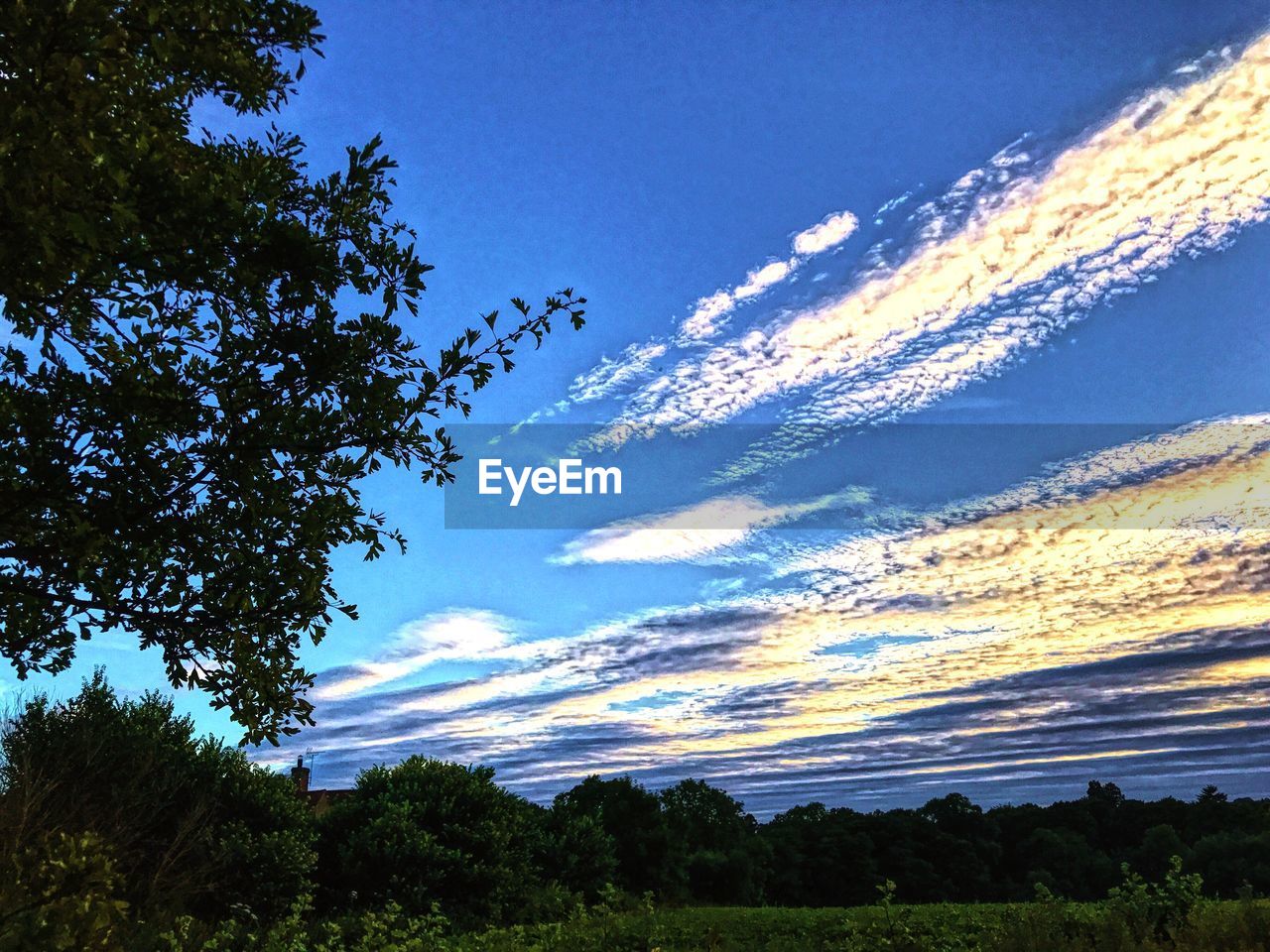 LOW ANGLE VIEW OF VAPOR TRAIL IN SKY