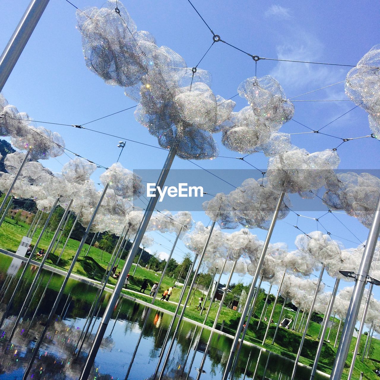 LOW ANGLE VIEW OF FLOWER TREE AGAINST SKY