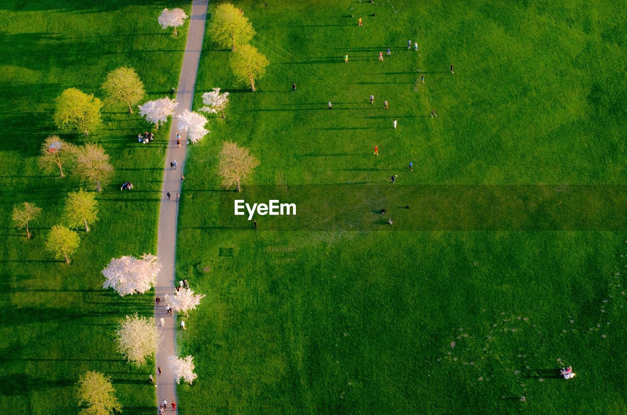 Drone view of people walking on green landscape