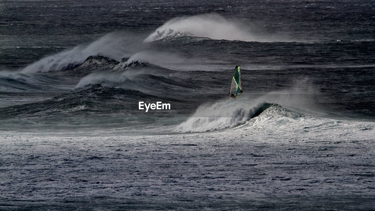 Man windsurfing on sea