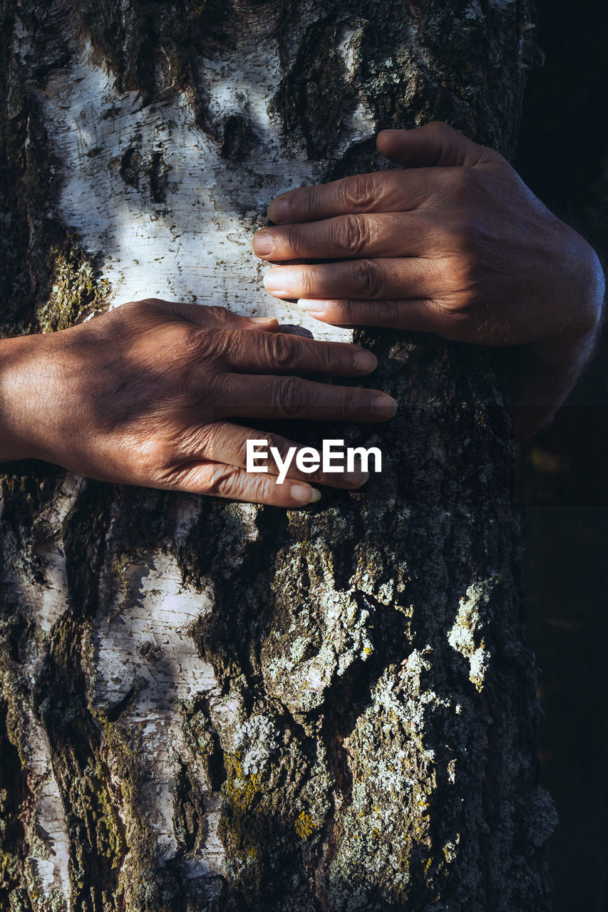 CLOSE-UP OF HANDS BY TREE TRUNK