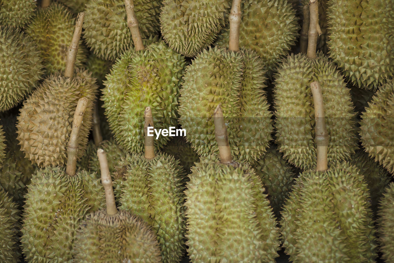 Durian fruit at the market