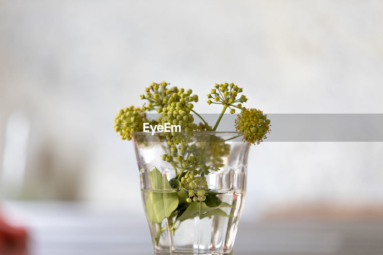 CLOSE-UP OF FLOWER VASE ON TABLE AGAINST GLASS WALL