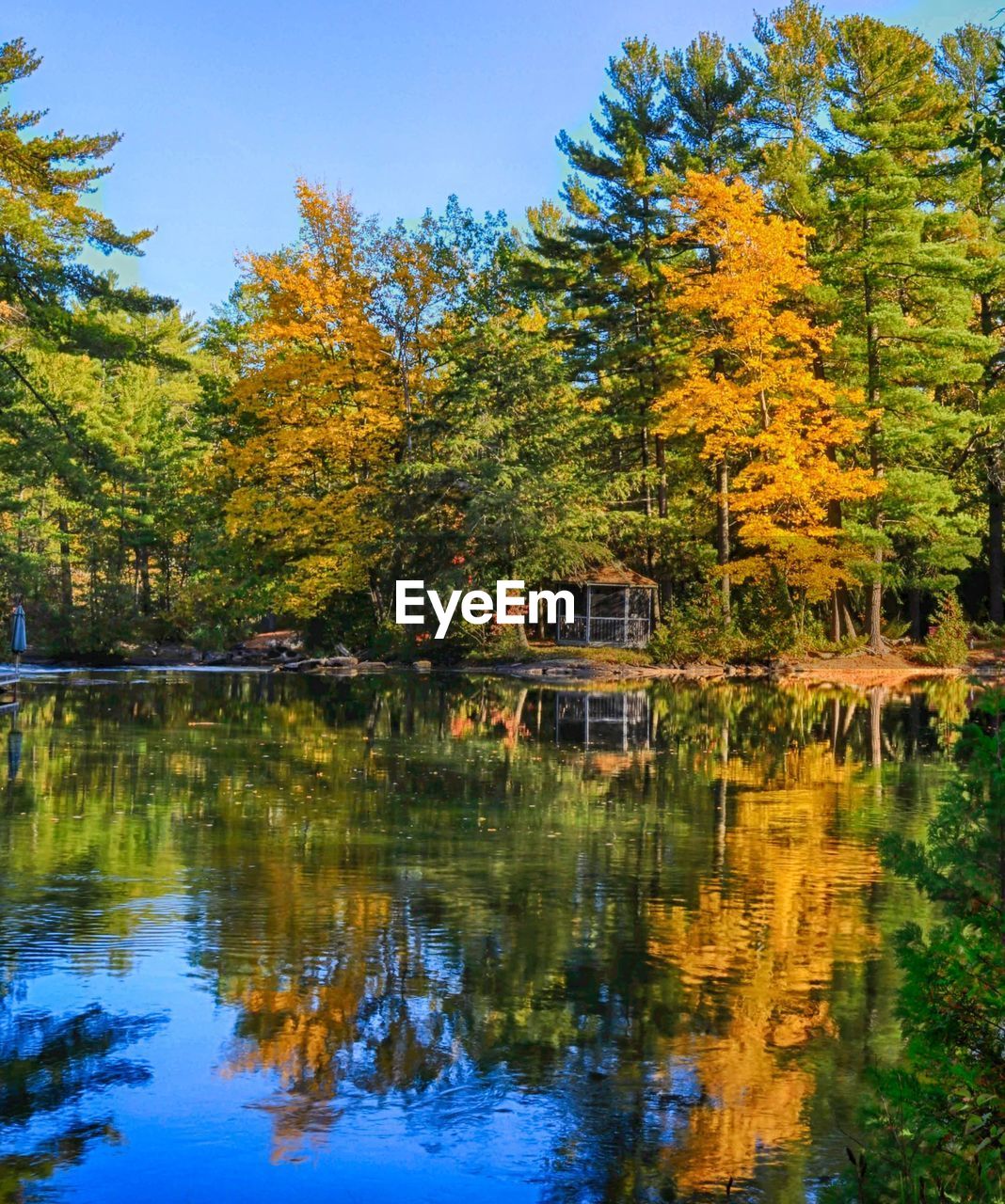 SCENIC VIEW OF LAKE BY TREES AGAINST SKY