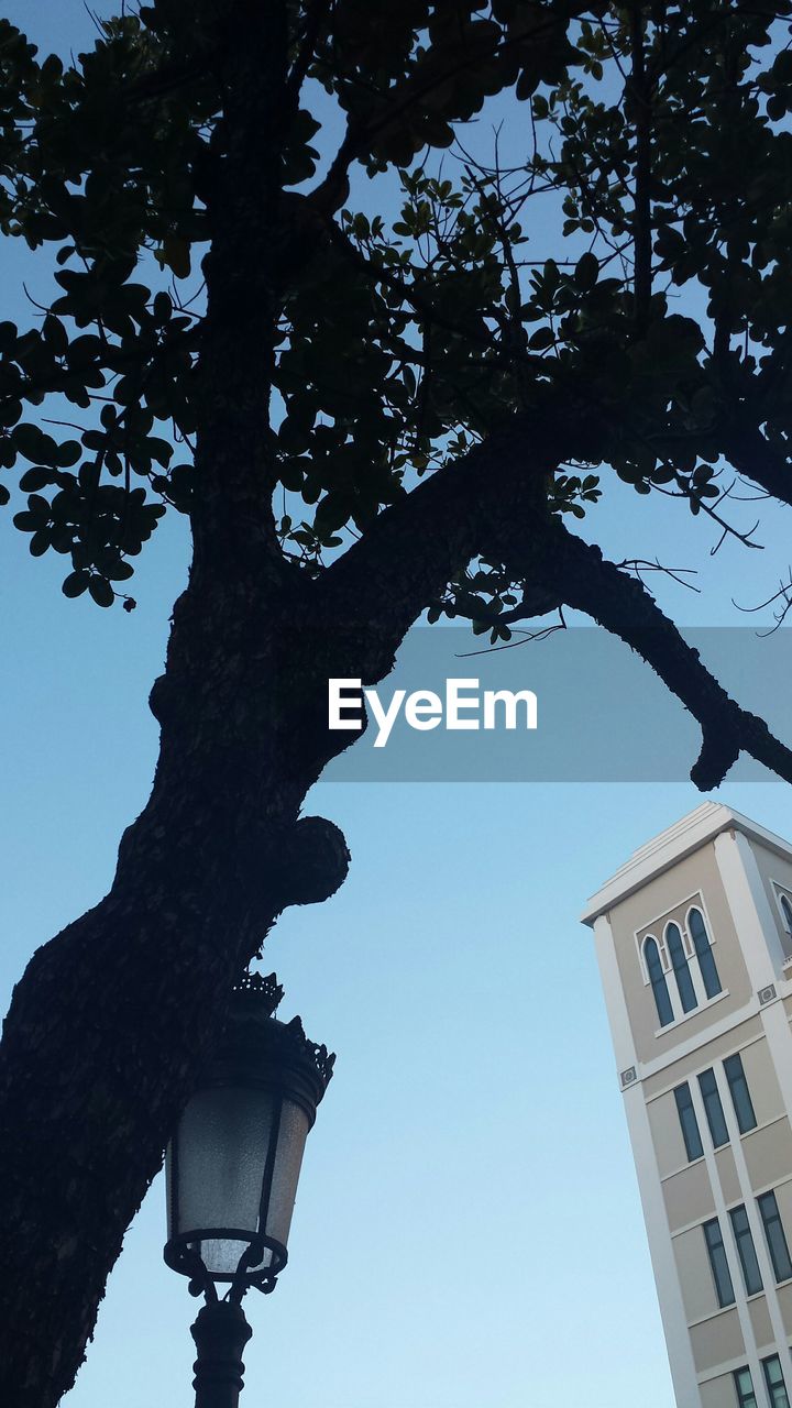Low angle view of silhouette tree and building against clear blue sky