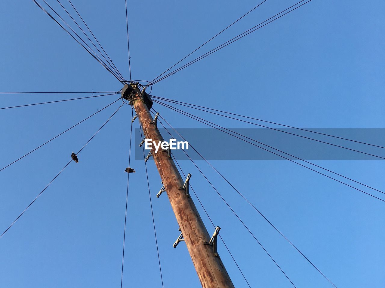 Low angle view of birds perching on electricity pylon against clear blue sky