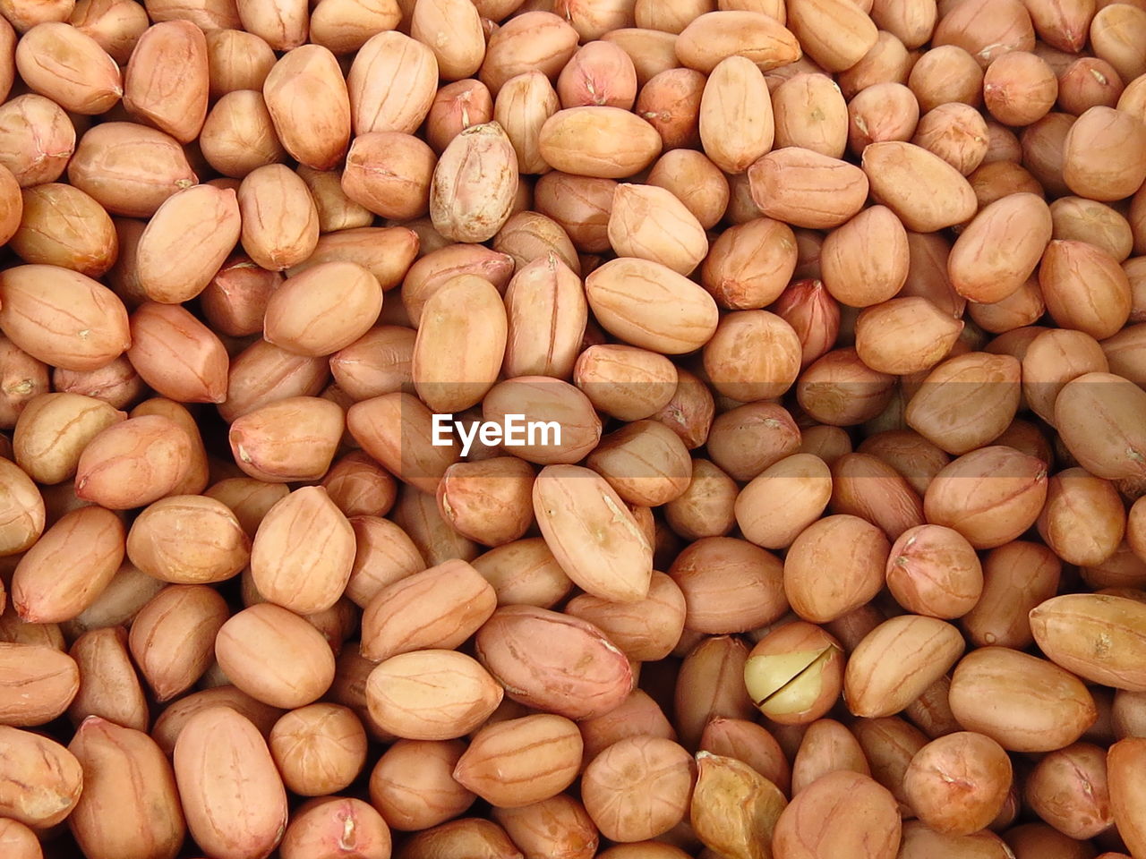 Peanut is an important economic crop