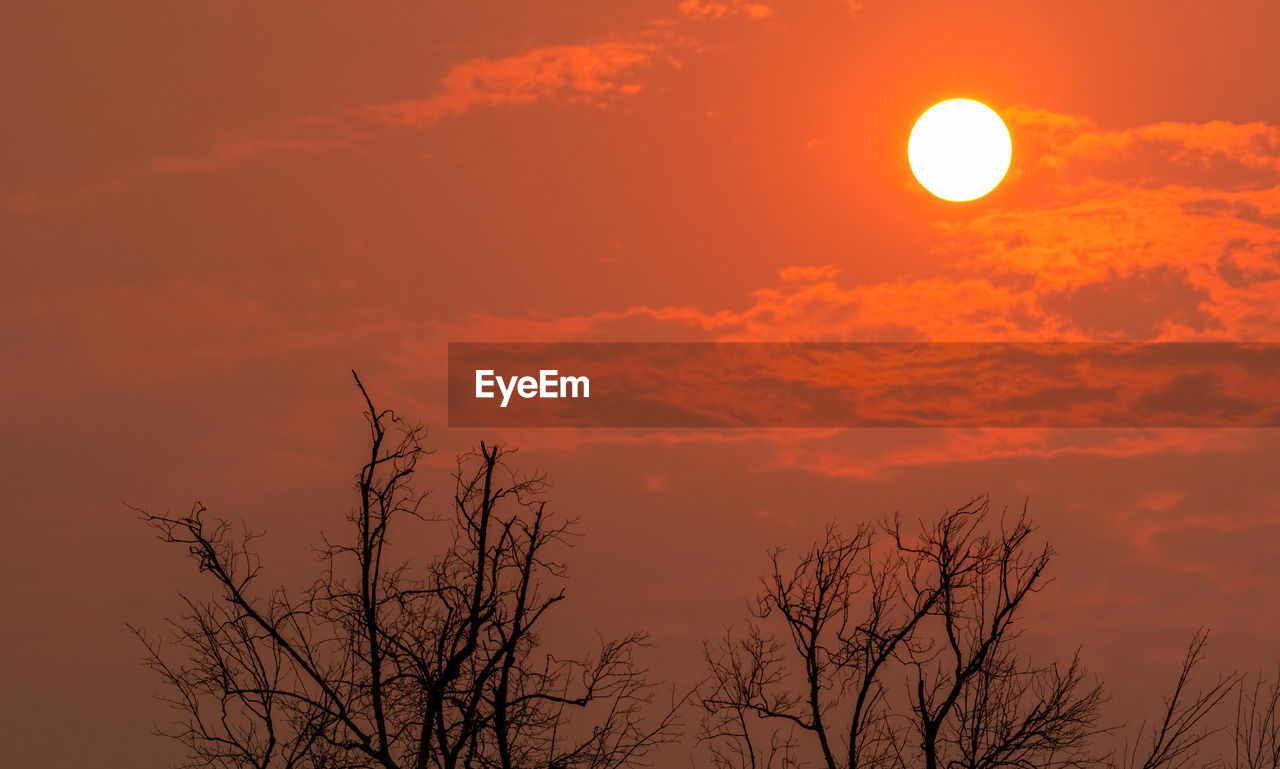 LOW ANGLE VIEW OF SILHOUETTE TREES AGAINST ROMANTIC SKY