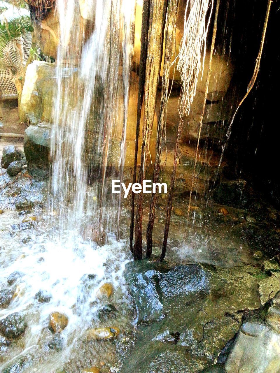 WATERFALL IN FOREST