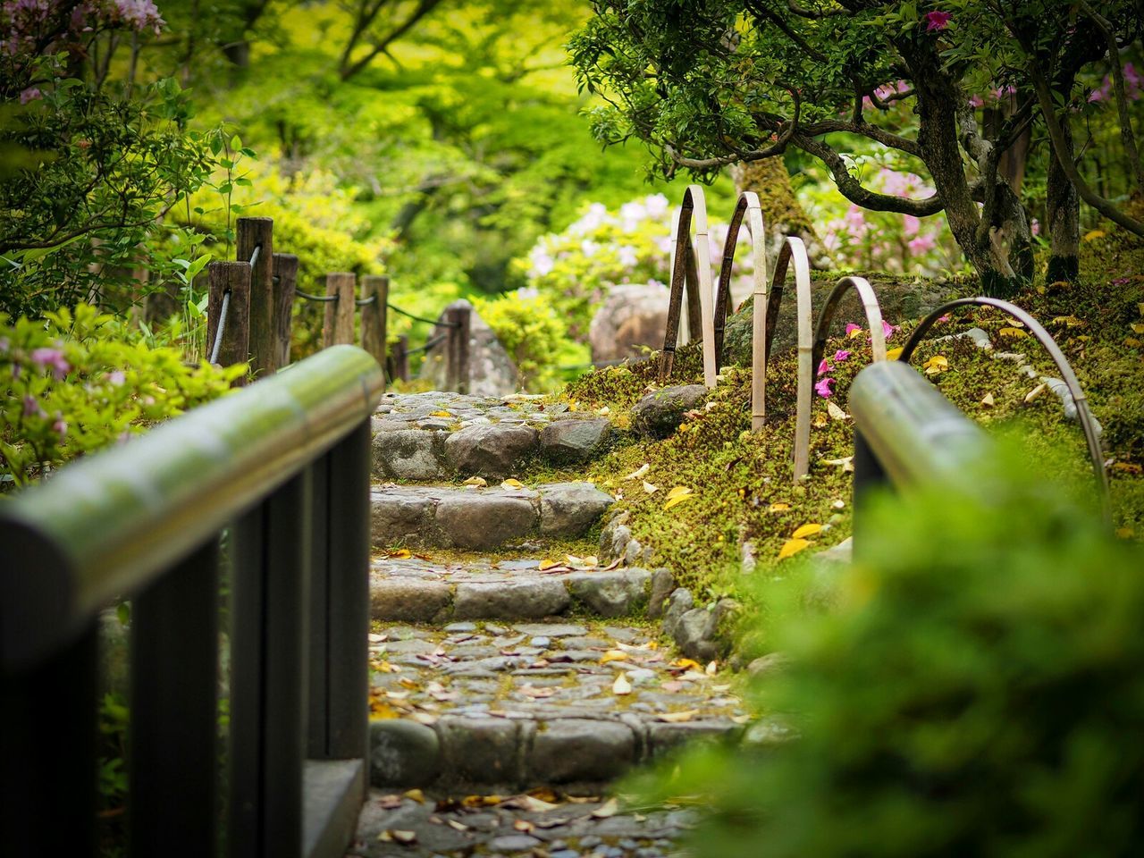 Walkway amidst trees in park