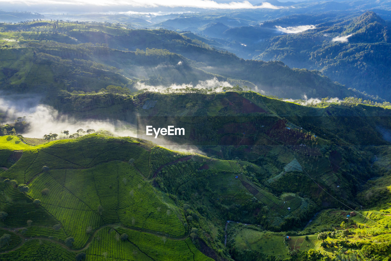 AERIAL VIEW OF LAND AND MOUNTAINS