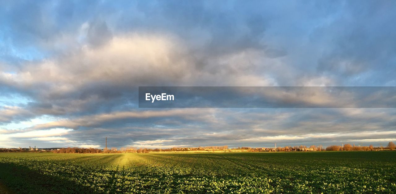 FIELD AGAINST SKY