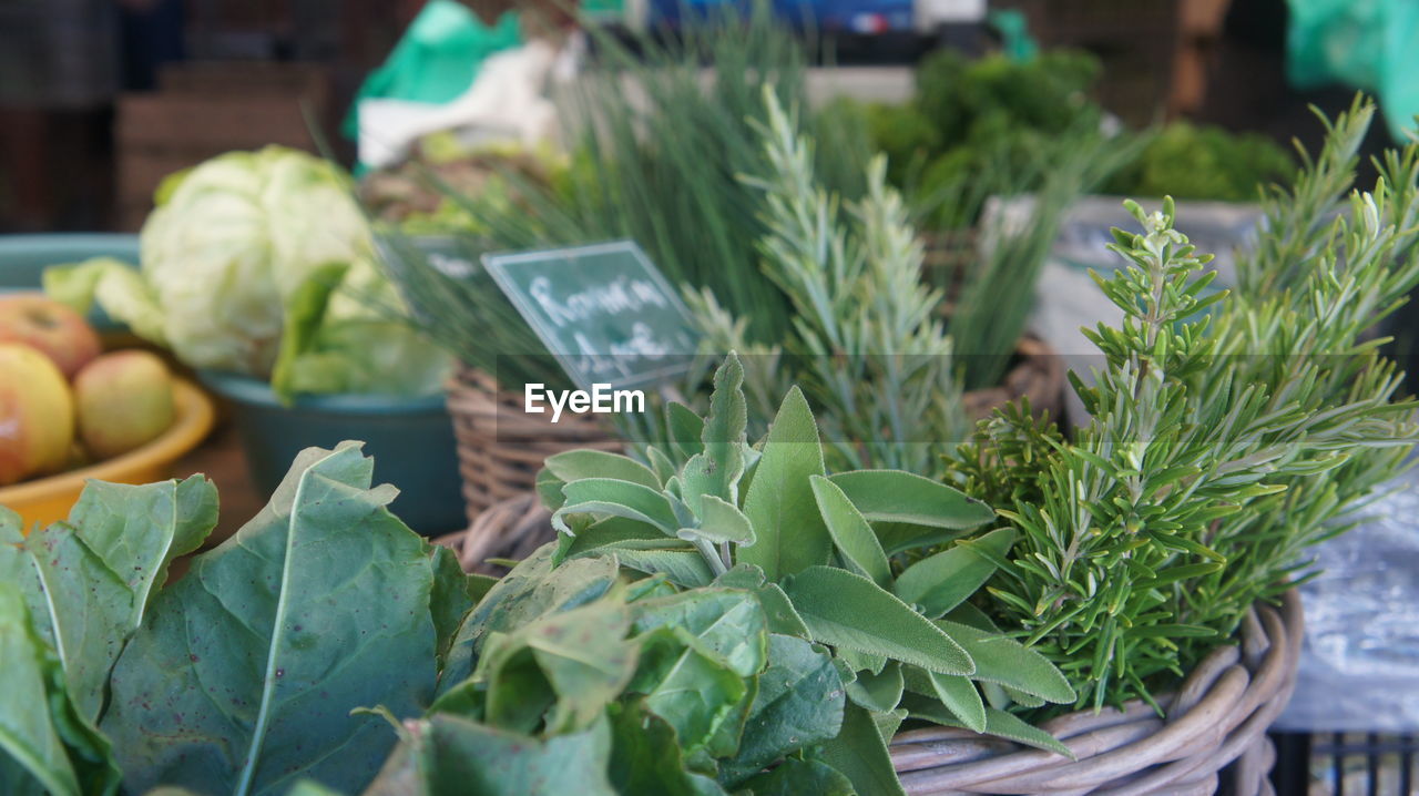 Close-up of leaf vegetables at market