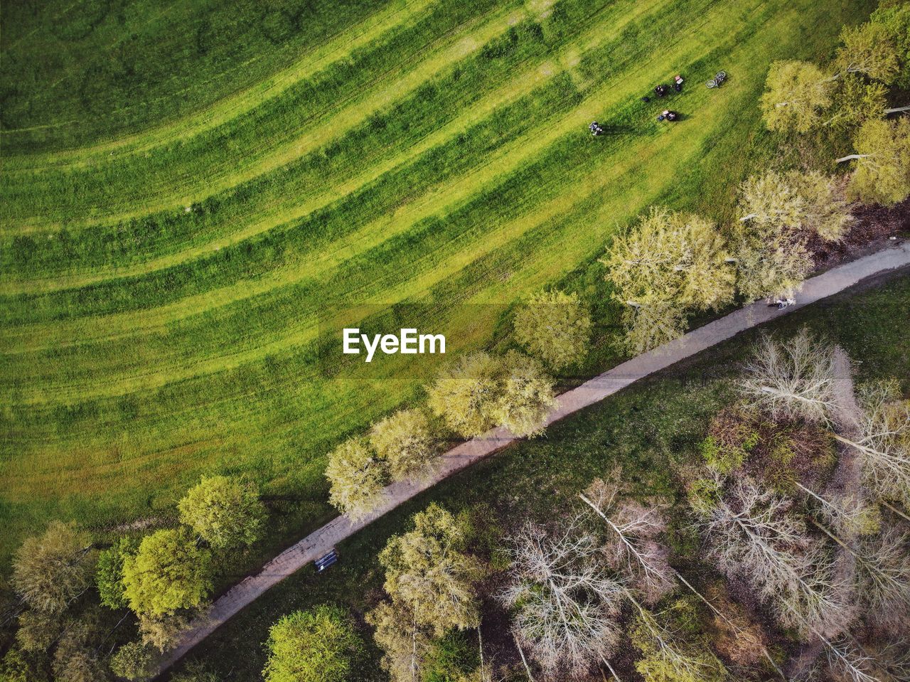 High angle view of agricultural field